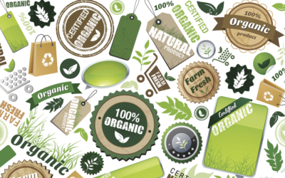 Pubblicato decreto “Empowering Consumers”: più trasparenza ambientale e nuove regole anti-greenwashing